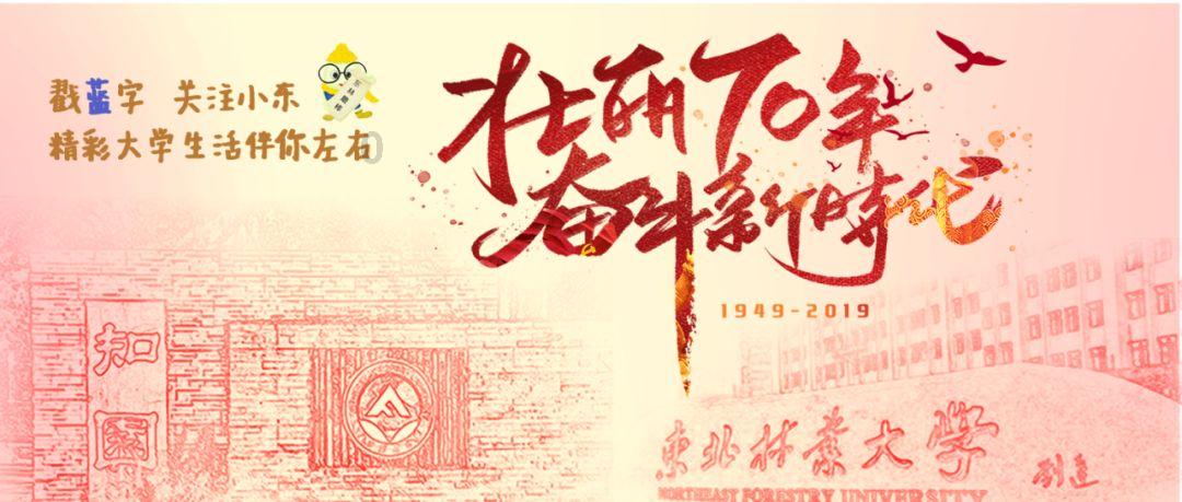 起重机卡车找不同